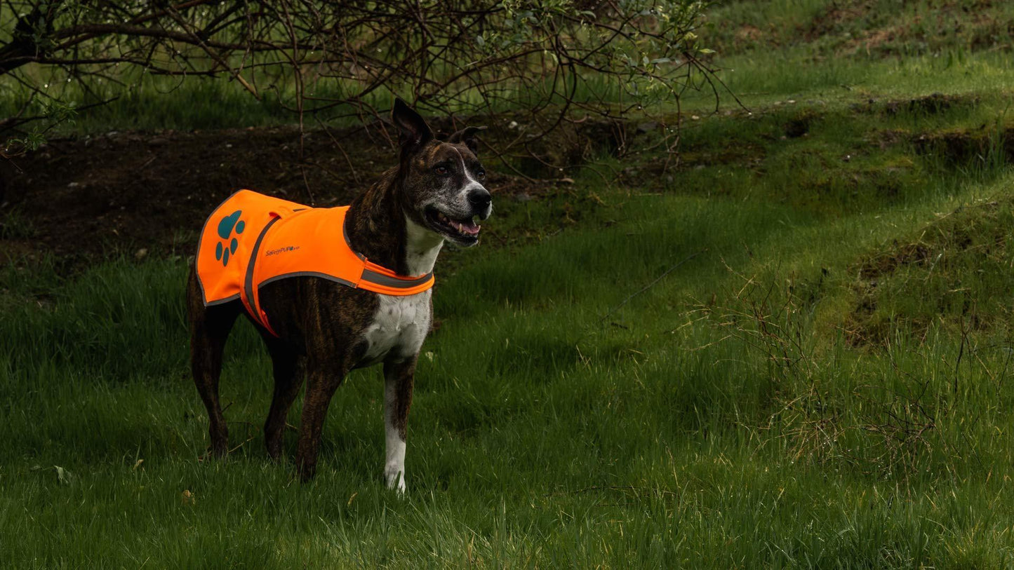 Soft Shell Waterproof Dog Vest Neck Size 20 Inch M Size Visibility Reflective